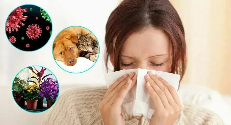 How to Manage Seasonal Allergies in 2025