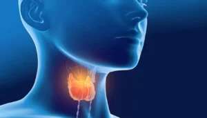 Thyroid Care Options in Floral Park