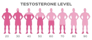 Hormones and Hair: The Role of Testosterone and DHT in Men’s Baldness