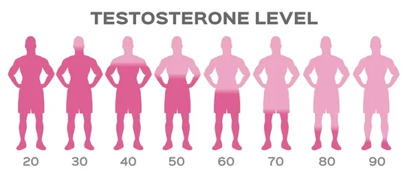 Hormones and Hair: The Role of Testosterone and DHT in Men’s Baldness