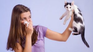 Pet Dander Allergies: How to Live Comfortably with Cats and Dogs