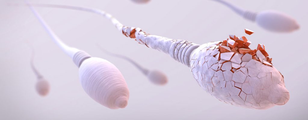From Quality to Quantity: How Age-Related Sperm Decline Affects Conception