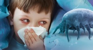 Is Immunotherapy Effective for Dust Mite Allergy? Evidence-Based Insights