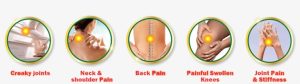 Comprehensive Care for Lingering Joint Pain: Finding Top-Tier Orthopedic and Ligament Specialists in Floral Park