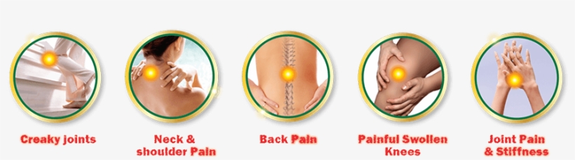 Comprehensive Care for Lingering Joint Pain: Finding Top-Tier Orthopedic and Ligament Specialists in Floral Park